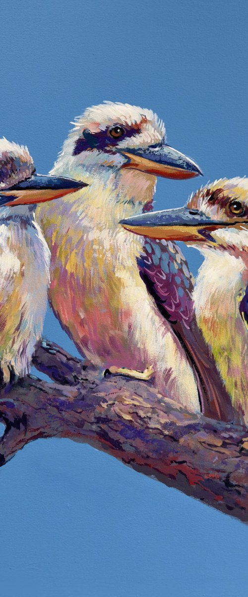Three Kookaburras #4 by Jos Coufreur