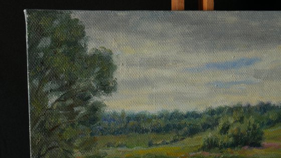 Floral Fields