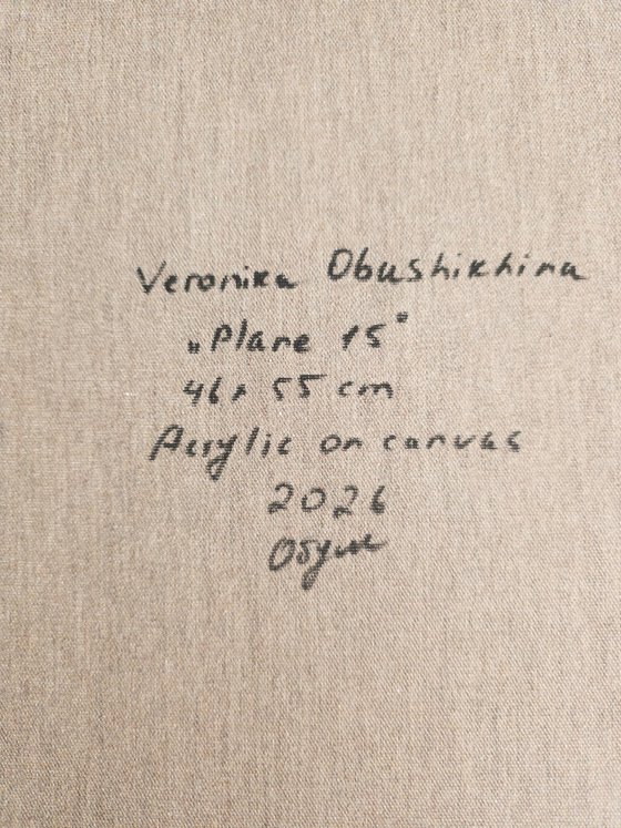 Plane 15