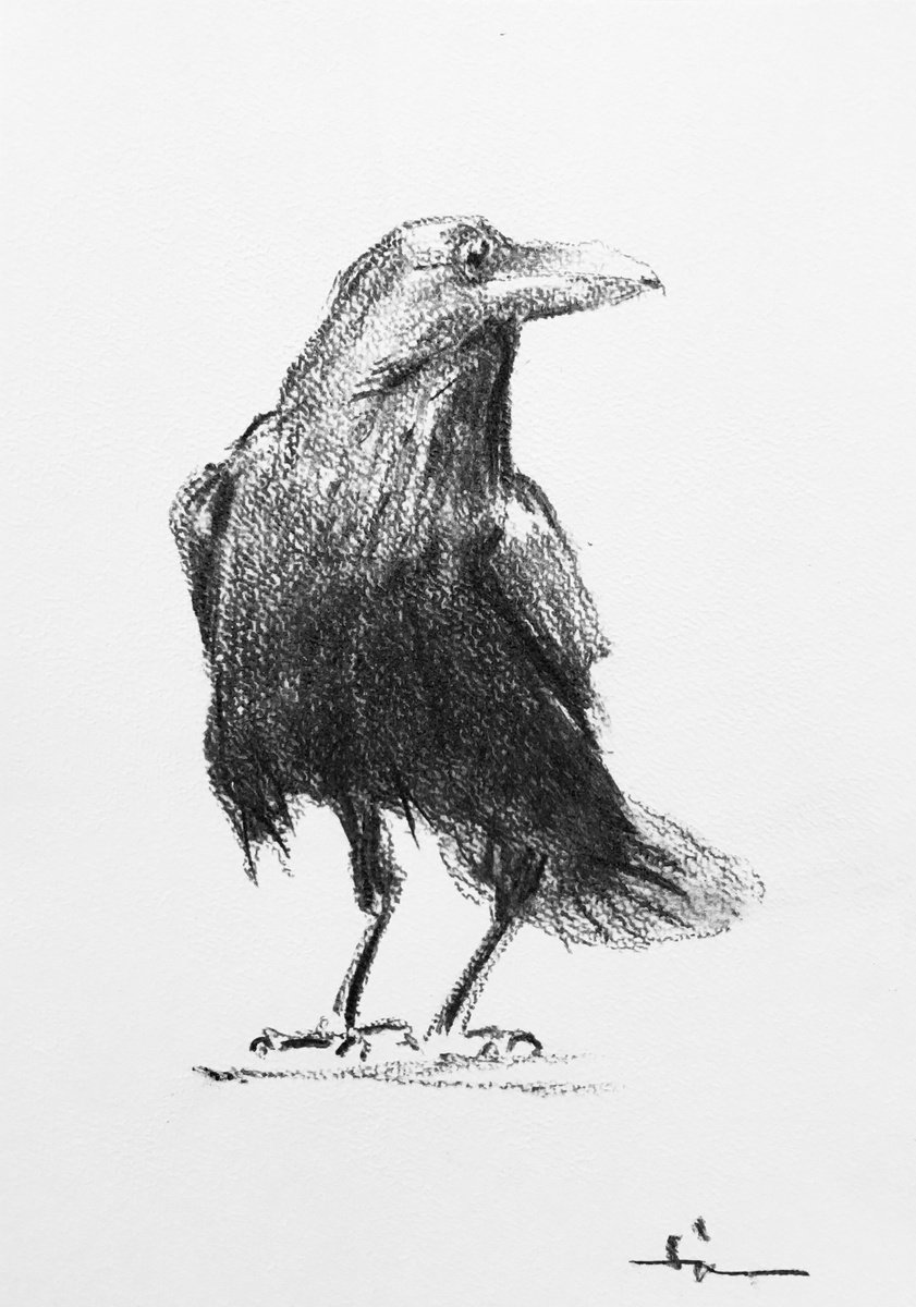 The Raven by Dominique Deve