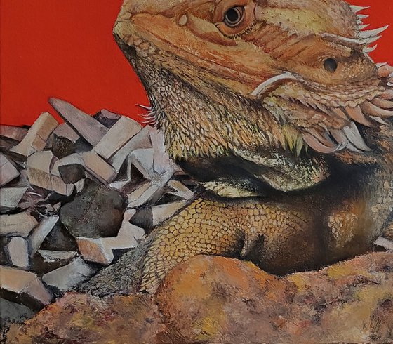 Iguana