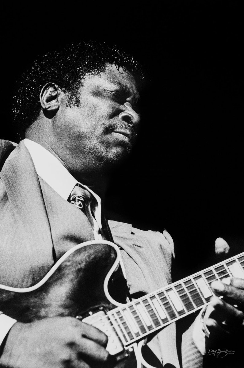 Photorealistic Portrait Photograph By Robbert Frank Hagens, 24 X 35", Bb King - King Of The Blues, Original Artwork