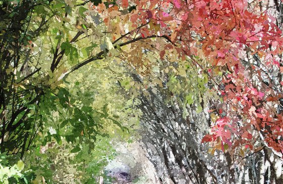 Autumn Arch