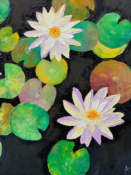 3 water lilies
