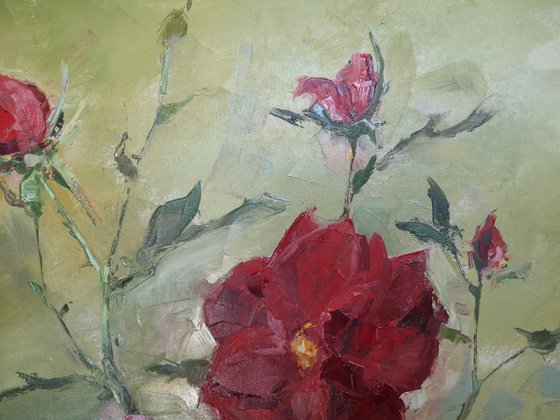 Wild roses
