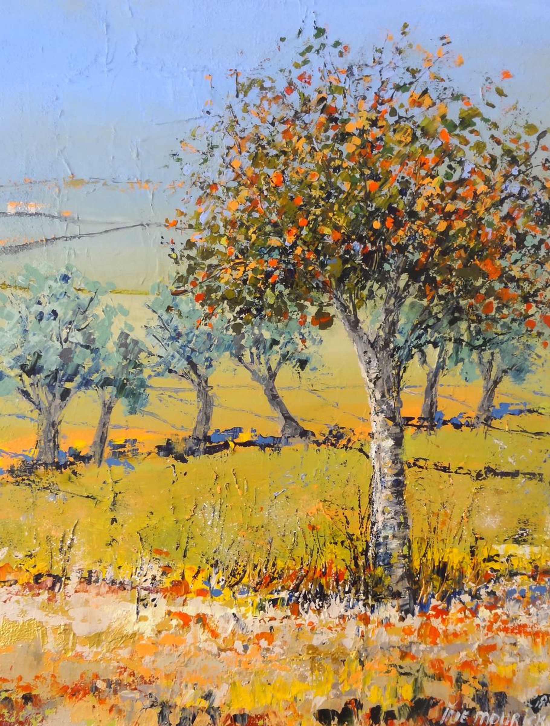 Orange Tree And Green Fields Artfinder