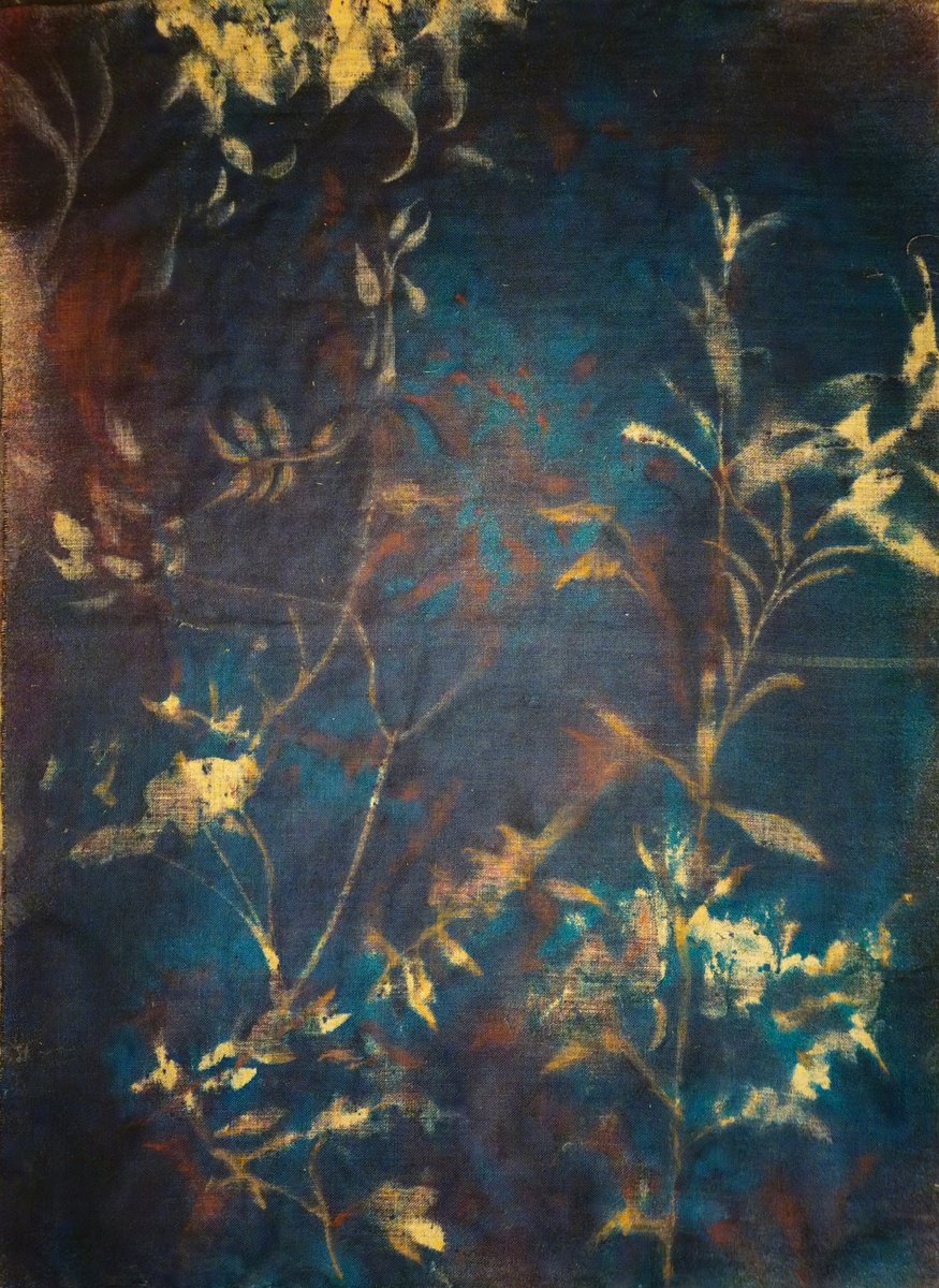 Surrealistic Botanical Acrylic Painting By Stefano Mazzolini, 59 X 79", Rf5152, Original Artwork