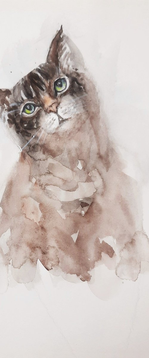 Kumudamini The Tabby cat by Asha Shenoy