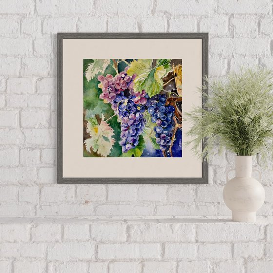 Vivid Grapes