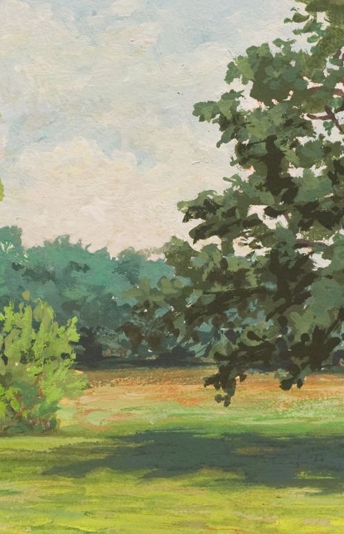 Trees and grass at Harms Woods by John Fleck
