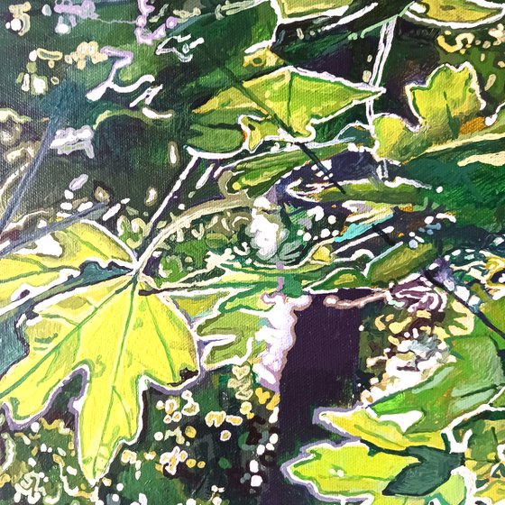 Among the Trees 2