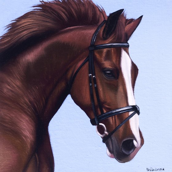 Horse Portrait 111