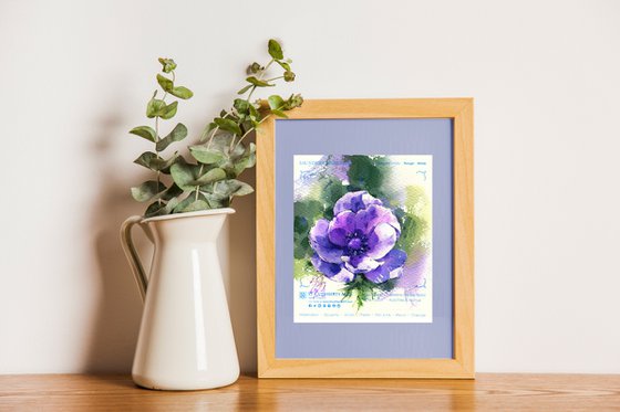Purple light. Anemone
