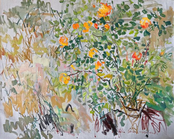 A rose in an autumn garden