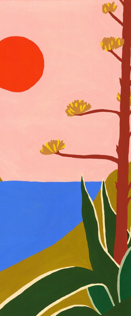 Agave by Alícia Gómez