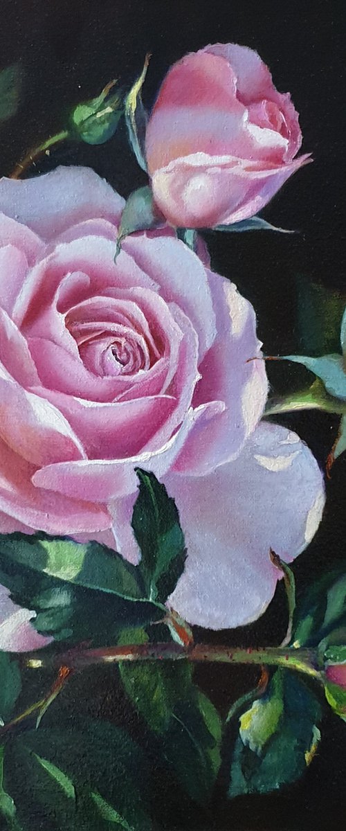 Rosebush by Anna Bessonova (Kotelnik)