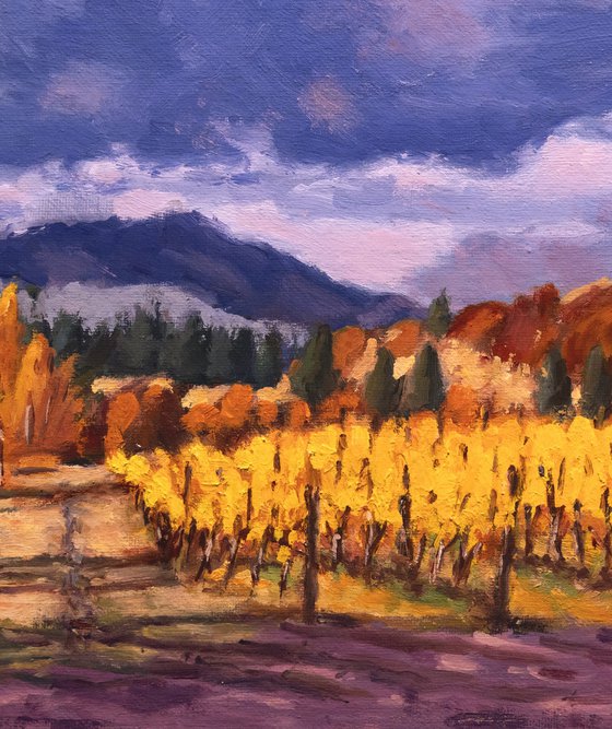 Mountain Vineyard