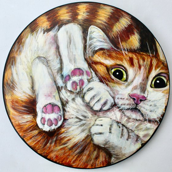 Cat In A Bowl