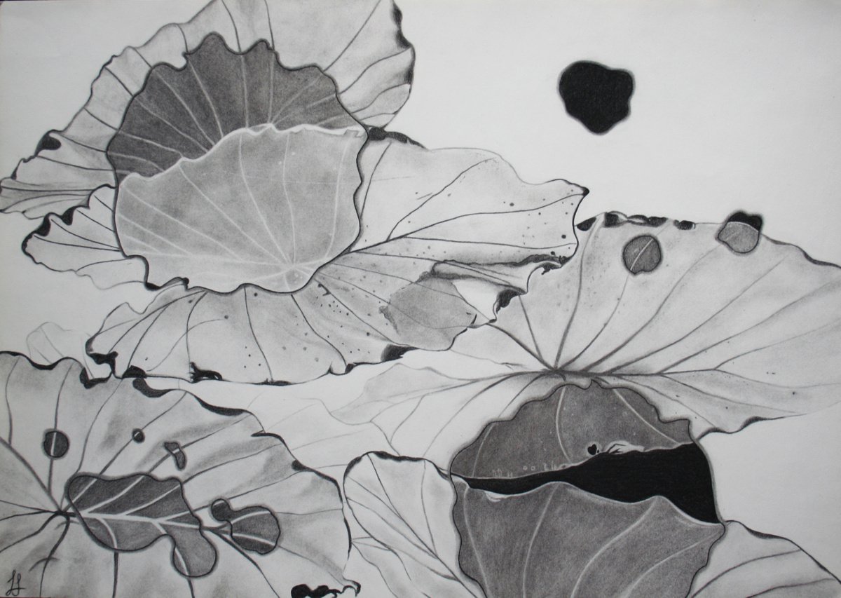 Leaves & Drops of Philodendron by Laura Sttefeld