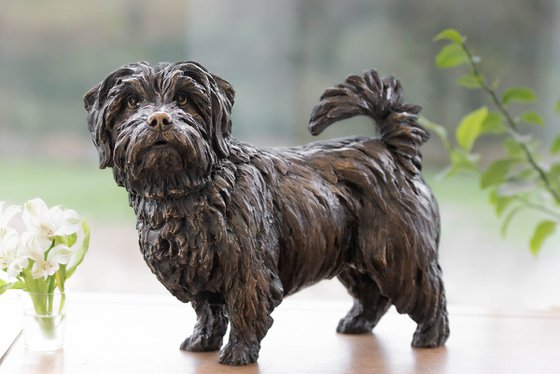 Norfolk Terrier Foundry Bronze
