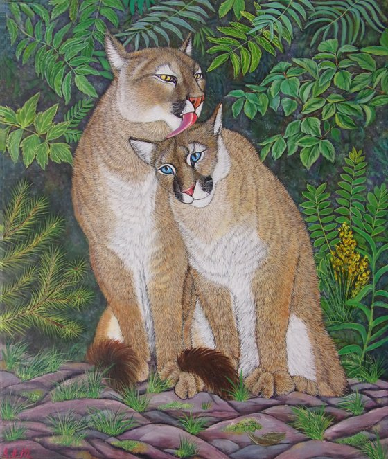 Pumas Kiss