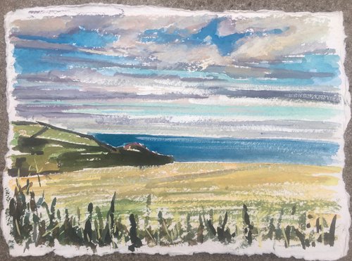 North Cornwall coast, above Bossiney by Louise Gillard