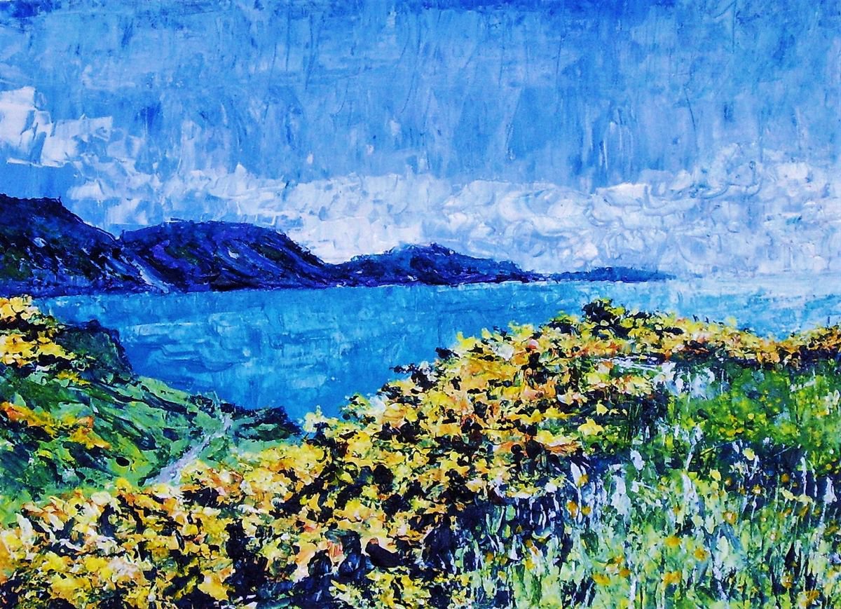 Gorse at Niarbyl by Max Aitken