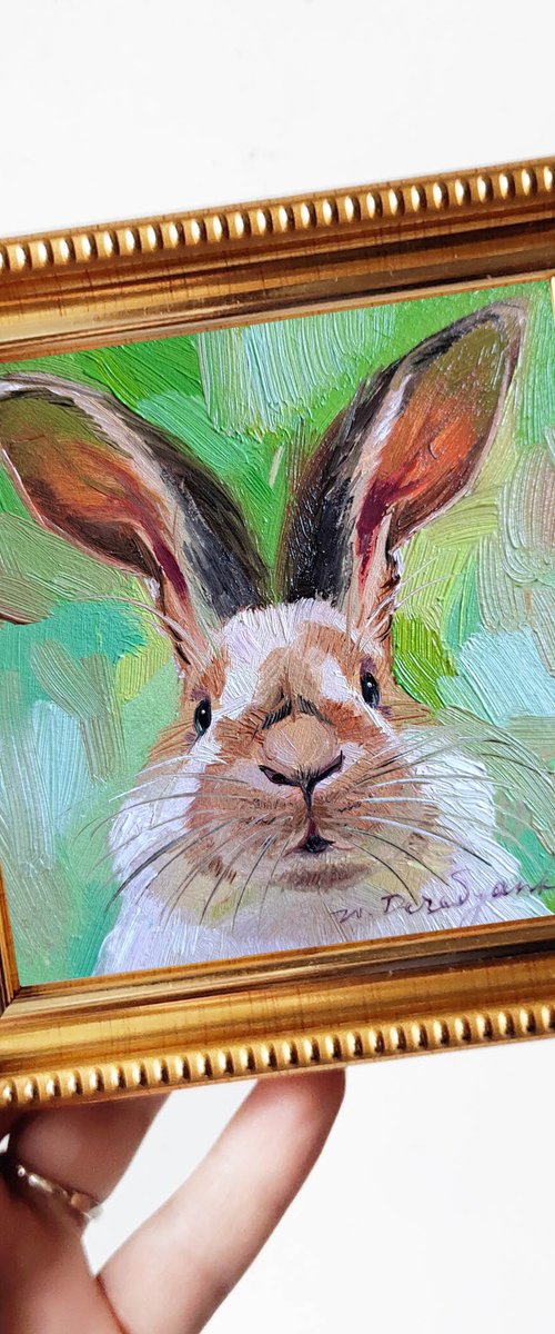Rabbit portrait by Nataly Derevyanko