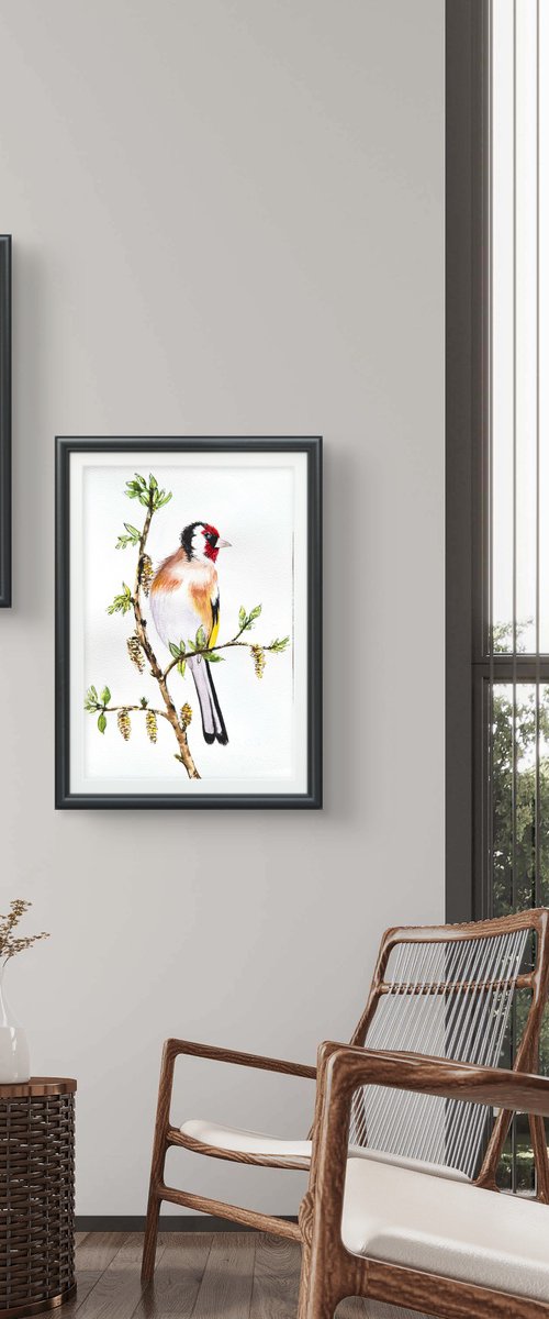 Colorful Noble birds by Yuliia Sharapova
