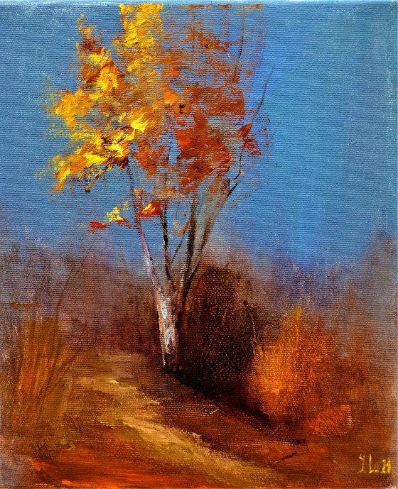 One warm day