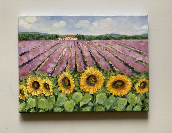 Lavender and Sunflower field