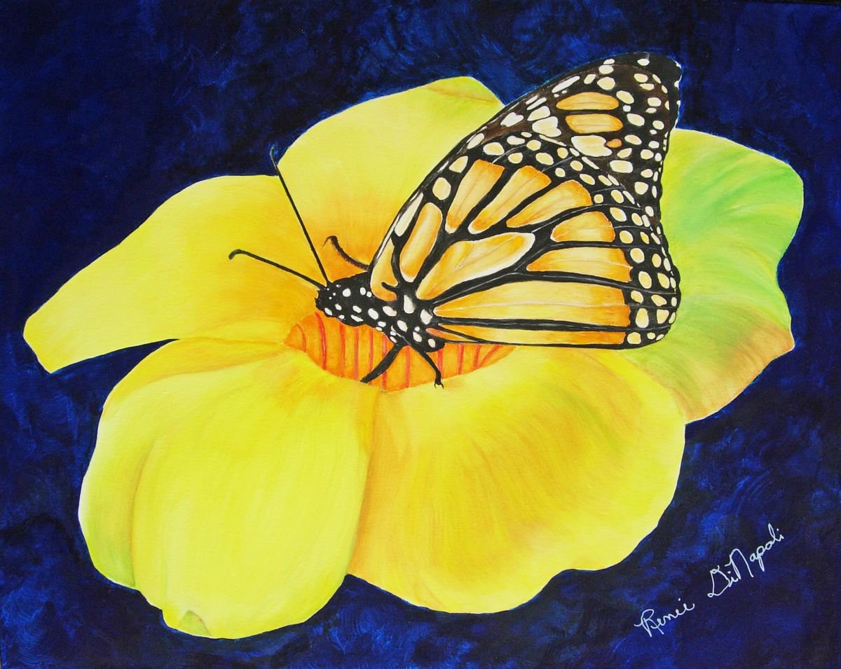 Butterfly Landing by Renee DiNapoli