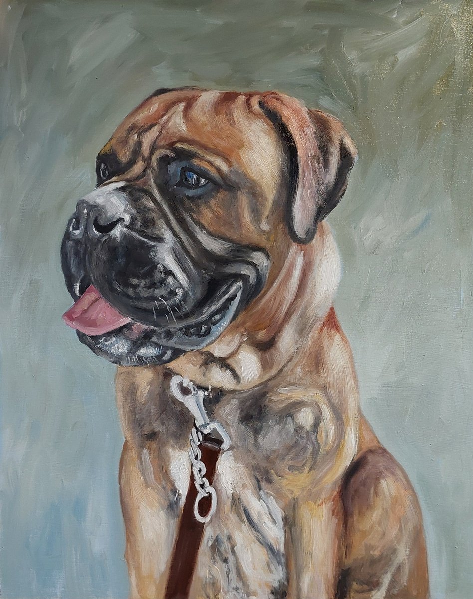 English bulldog by Els Driesen