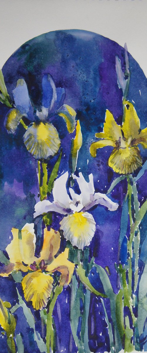 Irises by Elena Sanina