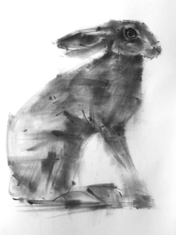Hare No 3