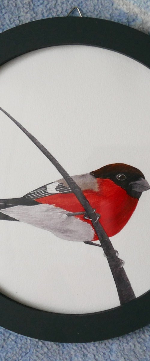 Bullfinch. Part 1 by Karina Danylchuk