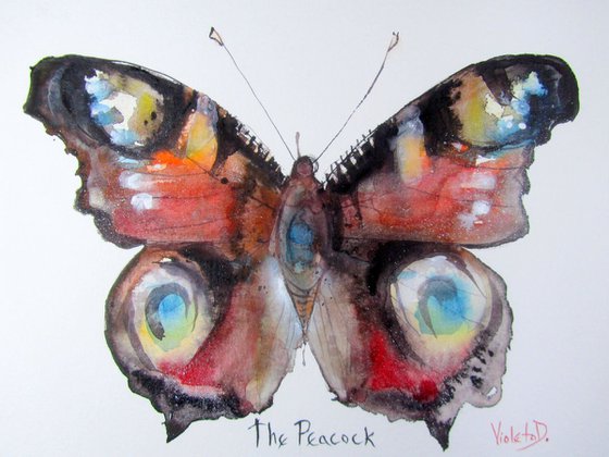 The Peacock (Vanessa io)