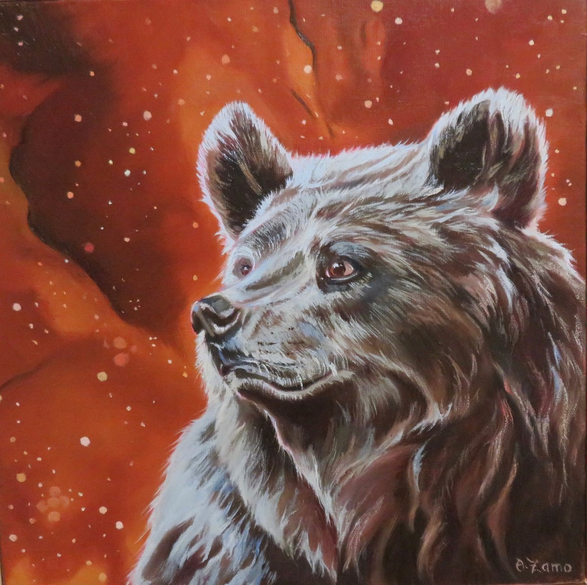 The little bear by Anne Zamo