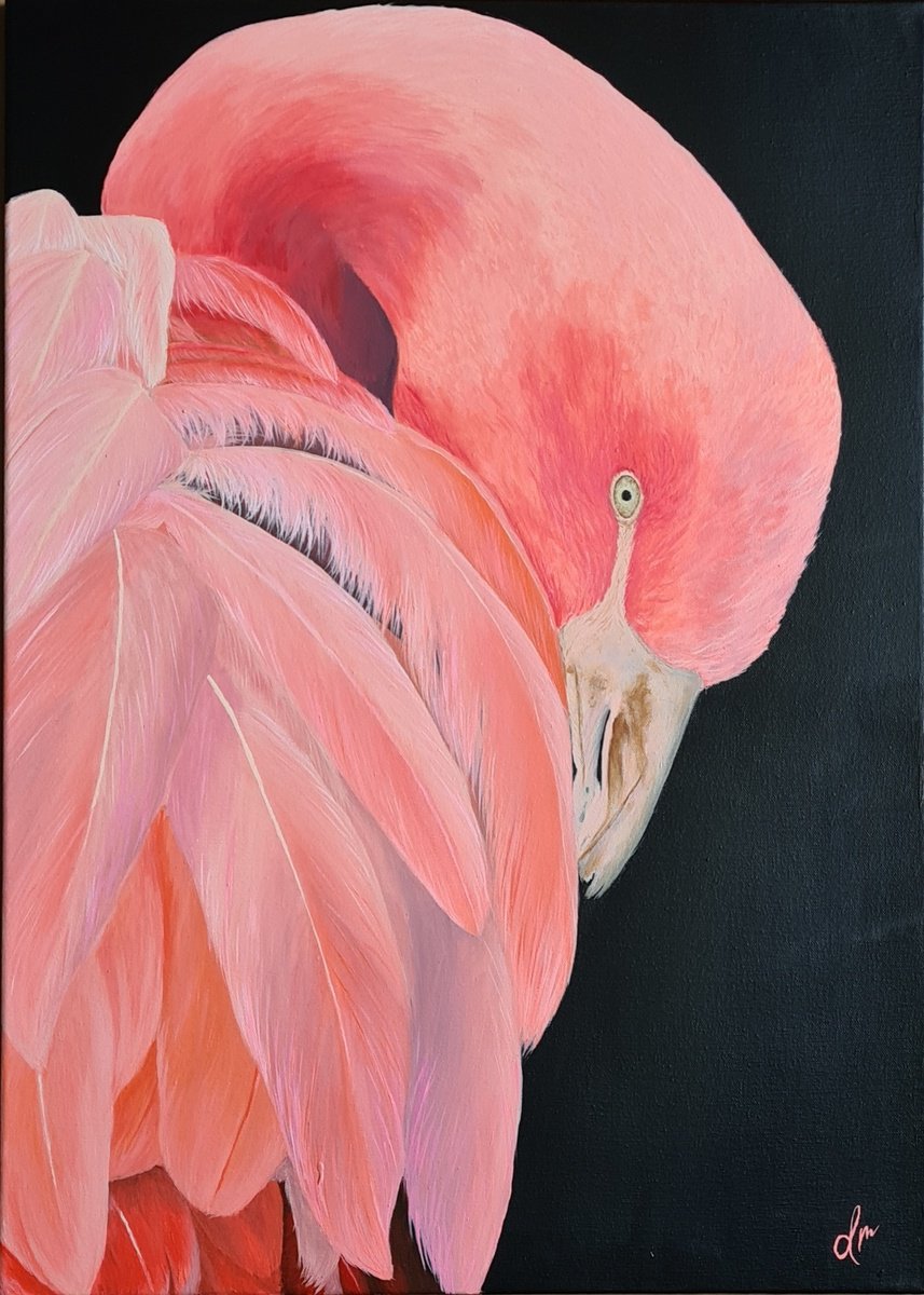 Flamingo Pink by Denise Martens