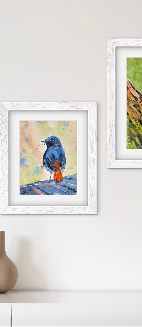 Birds: Redstart and Pink Robin by Alla Semenova