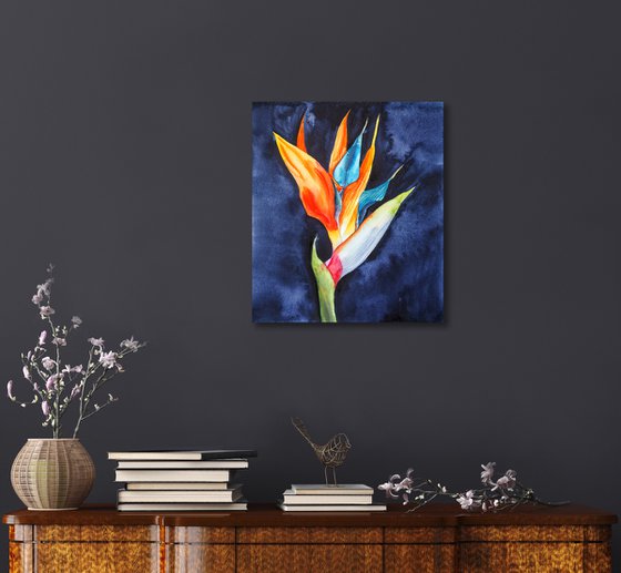 Strelitzia on blue-black velvet, vol.1