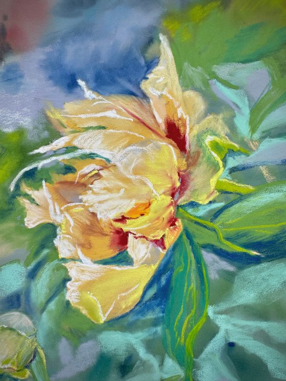 Floral: Yellow Peony