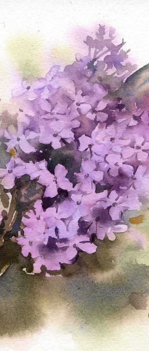 Lilac branch on a square sheet of paper by Yulia Evsyukova