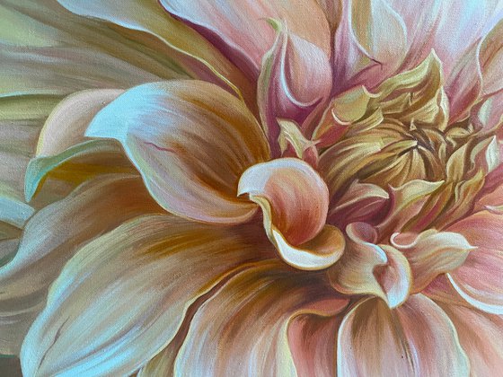 Dahlias “ Cafe au Lait “