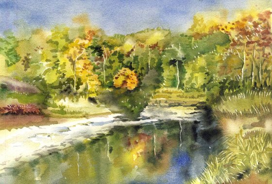 Autumn by the creek