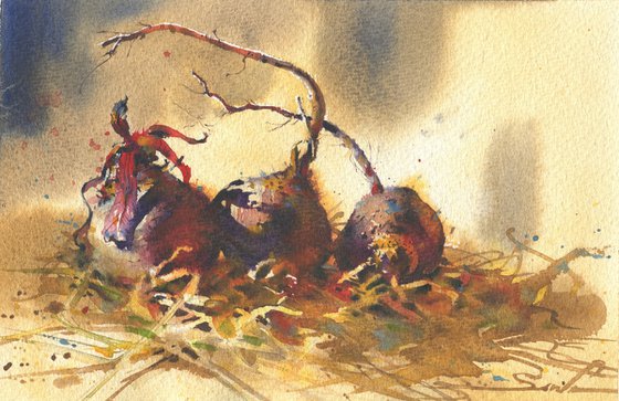 Beetroot still-life watercolor