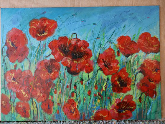 Poppies Red