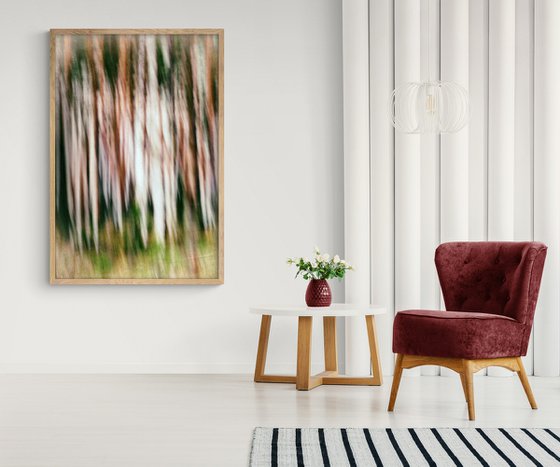 Metsä (studio 5)