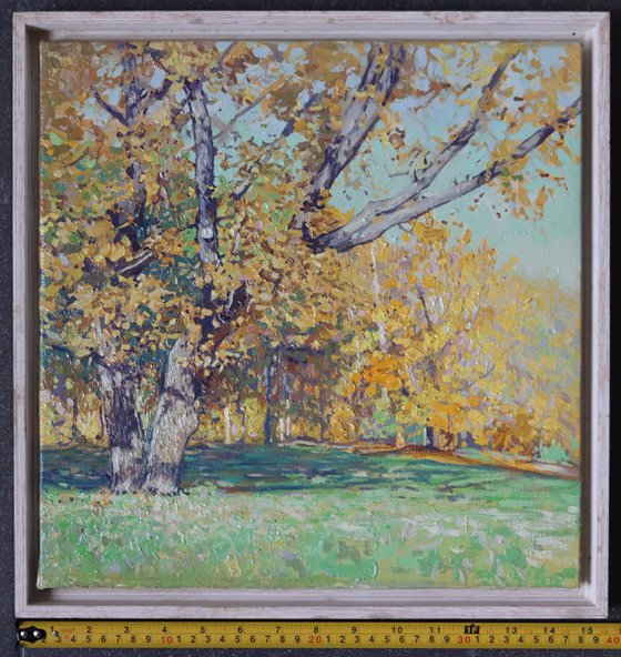 Oak tree in Tsaritsyno in October