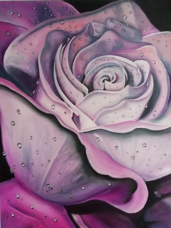 Rose of Marena, flower, canvas oriGinal oil art, floral painting, wall decor art, Gift for her